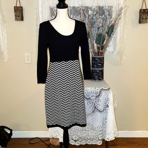 Womens Knit 100% Acrylic Dress By Studio One New York Size Large  A-19